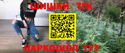 стафф Ставрополь
