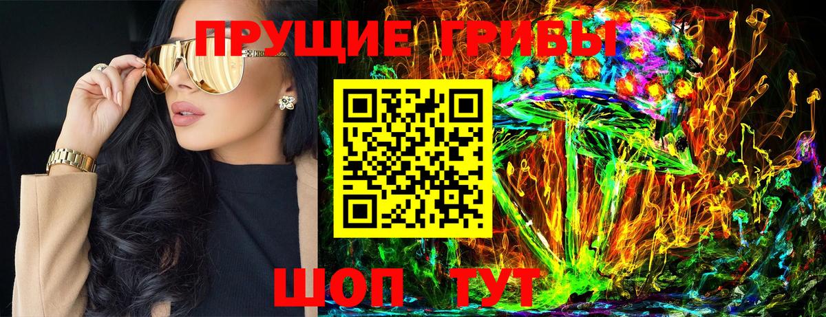 Павловский Посад  Галлюциногенные грибы Magic Shrooms  как найти закладки  Вход с VPN  Псилоцибиновые грибы Cubensis 